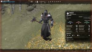 Build: Blasting Mage – Sorcerer Magicka PvP (1 Combo = 1 Morto) – Universo  ESO