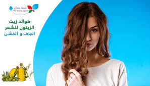 فوائد زيت الزيتون للشعر الجاف والخشن افضل ماسكات زيت الزيتون للشعر الجاف sehajmal