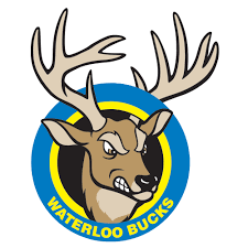Northwoods League