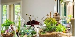 Tanaman palawija meruoakan sebutan untuk tanaman selain padi. Kenali Terrarium Seni Menanam Dengan Beragam Manfaat