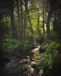 At least not in the same way that after that, reynolds focused on evoking mystical irish landscapes. Jthjqy Qih3olm