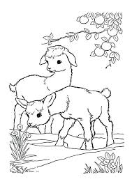 Scarecrow and bird cartoon coloring page vector. Coloring Pages Baby Goat Eating Grass Coloring Page