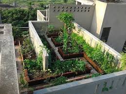 Kitchen Garden Garden Ideas India Rooftop Garden Urban Garden