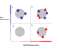 data analysis what does a histogram for flow cytometry tell