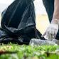 Charles Mill Earth Day Cleanup & Tree Giveaway