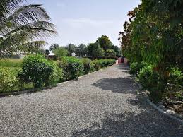 AL SABAH FARM مزرعة الصباح AS SUWAYQ (عُمان) - بدءاً من 52 US$ | ALBOOKED