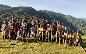 Image result for Musanga leo-errerae