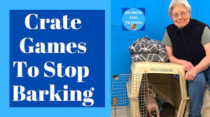 The week leading up to the flight, i gave all. How To Crate Train A Puppy Using Crate Games Youtube