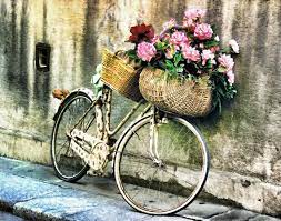 Download Old Bicycle Bike With Flowers Parma Italy Parma Italy Etsy