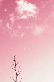 We did not find results for: Pink Wallpapers Free Hd Download 500 Hq Unsplash
