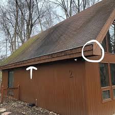 Your pest control solution is only as good as the people that stand behind it. Bird And Bat Entry Points Buffalony Cheektowagany Buildingdiagnostics Wildanimalremovalservices Pestcontrol Bats Pest Control Buffalo Ny Outdoor Decor