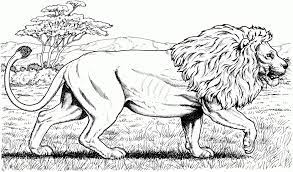 Animal coloring pages of various animals are fun, but they also help kids develop many important skills. Realistic Coloring Pages Coloringnori Coloring Pages For Kids