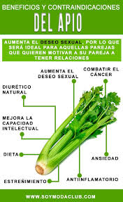 Propiedades Del Apio Beneficios Y Contraindicaciones Soy Moda Nutrition Tips Nutrition Simple Nutrition