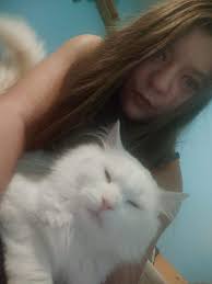 What tool can be used to remove matting from a long-haired dog?