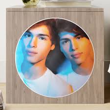 "Alan and Alex Stokes Twins" Sticker for Sale by hakkamamr7