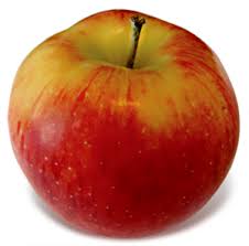 60 transparent png illustrations and cipart matching jonagold. Jonagold New England Apples