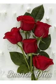 Foto Animada Buenos Dias Con Rosas Rosas Purpuras Buenos Dias Con Flores