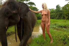 Elephanttube Sex Videos Elephant Tube Porn Movies 5 - XXXPicss.com