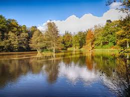 Wakehurst Place And Gardens Is A National Trust Property Located Near Ardingly West Sussex Places Landscape Bluebells