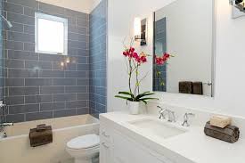 Planten In De Badkamer De Beste Suggesties Voor Jou