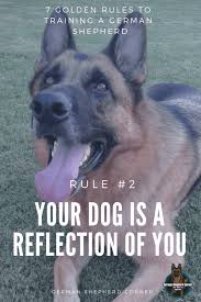 However, there are some factors that should be puppies are fragile living beings and susceptible to diseases from their environment. German Shepherd Training The 7 Golden Rules Basic Commands