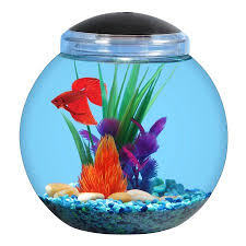 Aqua Culture 1 Gallon Globe Fish Bowl With Led Light Walmart Com Aqua Culture Betta Aquarium Fish Bowl
