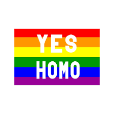 Yes Homo Rainbow Flag Funny Banner 3x5ft Polyester Decor Vivid Color  Digital Printing Double Stitched Outdoor Indoor - Flags - AliExpress