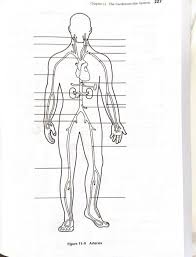 Place the correct term or letter response in the answer blanks. Anatomy Physiology Coloring Workbook Answers Chapter 11