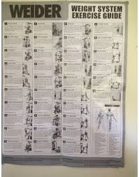10 Unusual Weider Weight System Pro 8900 Exercise Chart