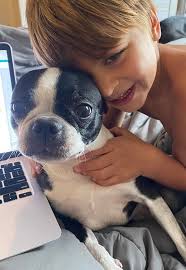 Found 🙌🏼🙌🏼 thank you to the amazing gals in the p-section!!! Lost Dog  in P-Section. Very friendly Boston Terrier. Please help!!