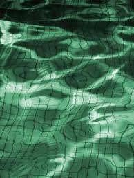 pin by sha long on aesthetic dark green aesthetic green aesthetic green photo