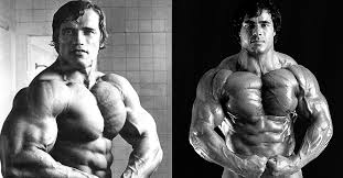 We think this is the most useful anatomy picture that. 10 Best Chest Exercises For Building Bigger Pecs Fitness Volt