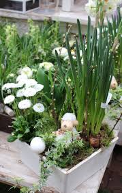 Ein Kleines Osterlammchen Im Blutenmeer Fruhlings Dekoration Fruhlingsblumen Fruhlingsdekoration
