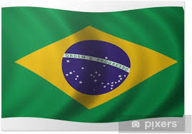 Kostenlose lieferung für viele artikel! Poster Brasilien Flagge In Der Welle Pixers Wir Leben Um Zu Verandern