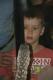 ACTHA Inc. News Feb—Mar 2012