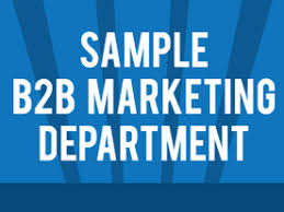 How To Organize A B2b Marketing Department Infographic