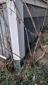 Image result for site:byggahus.se rötskada