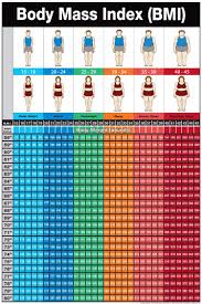 mass index chart body mass charts body fat mass chart the