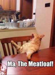 30 Funny Animal Captions Part 7 30 Pics Amazing Creatures Bones Funny Animal Captions Funny Animal Pictures