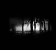 Thousands of new tree png image resources are added every day. Black Tree Background Hd Novocom Top