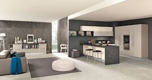 Cucine Open Space Con Penisola Modelli Prezzi E Foto Cose Di Casa Design Cucine Arredamento Cucina Soggiorno