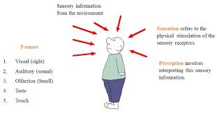 Visual Perception Simply Psychology