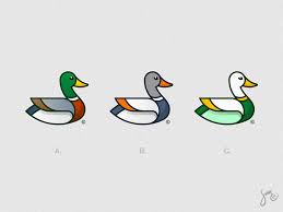Mallard Duck Logo Design Duck Logo Logo Design Mallard Duck