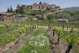 Symphonic black metal lyrical themes: Greve In Chianti Tuscany Travel Guide To Town Of Greve In Chianti Italy
