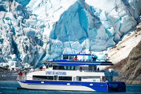Image result for Bleu Fjord 1981 Fleet