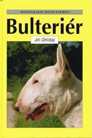 Image result for bulteriér
