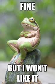Fine Frog Funny Animal Memes Funny Animals Funny Pictures