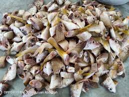 Rebus terus sambil terus diaduk menggunakan 2. Cara Paling Jimat Mudah Buat Baja Ikan Untuk Pokok Ni Caranya Keluarga