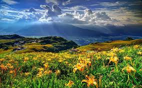 For other nature pictures in high definition resolution please browse now our collection of scenery wallpapers. Hd Wallpaper Spring Landscape Mountains Hills Lillies Yellow Flower Village Clouds Sky Nature Wallpaper Hd For Mobile Phones 2560 1600 Wallpaper Flare