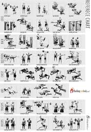 77 Bright Gym Workout Chart Hd Images Pdf